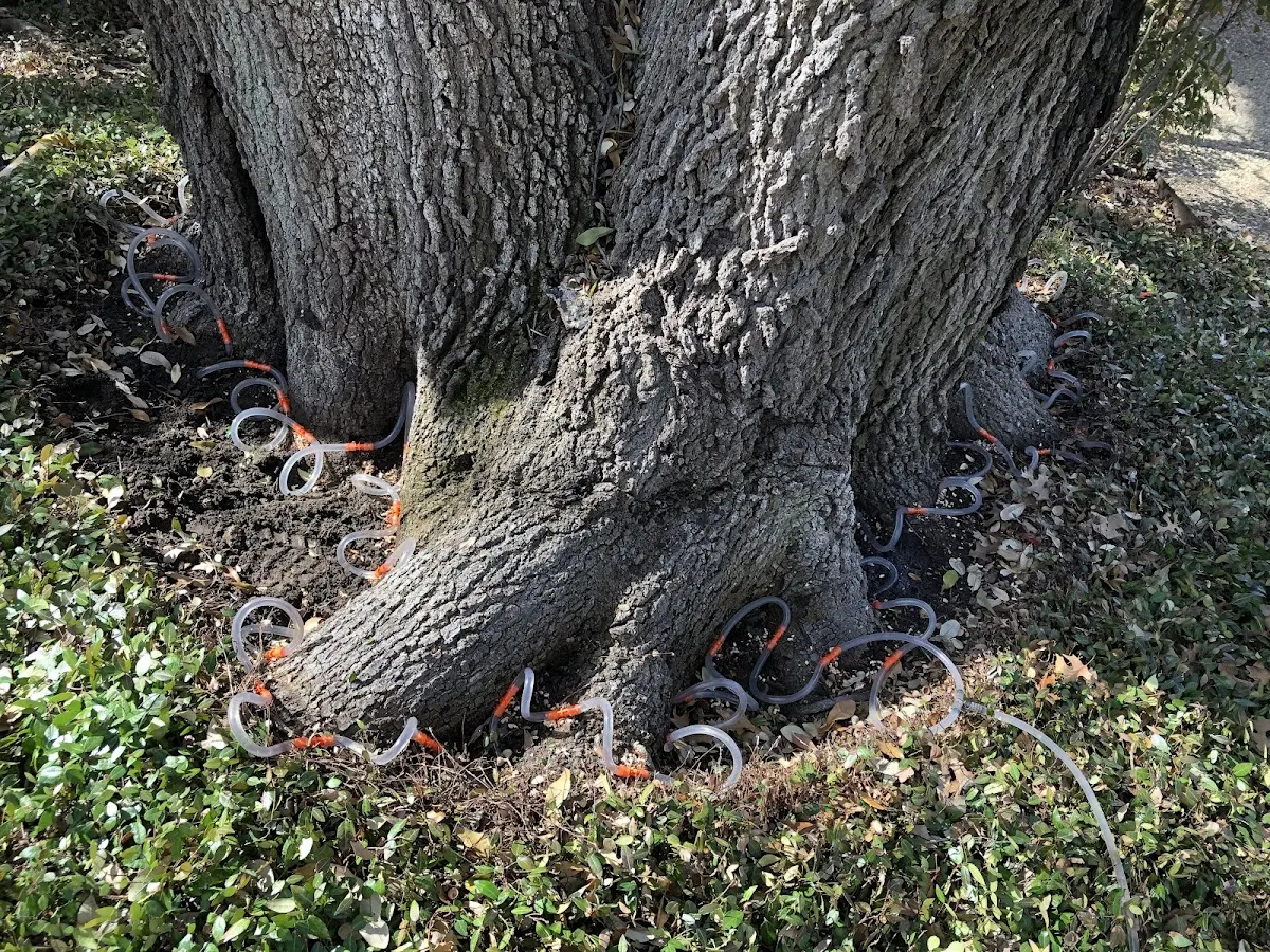 Detailed Shrub and Hedge Trimming job site in Fannin