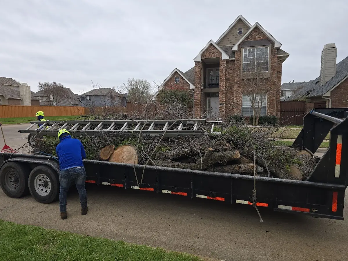 Expert Lot Clearing with proper safety equipment in Fannin